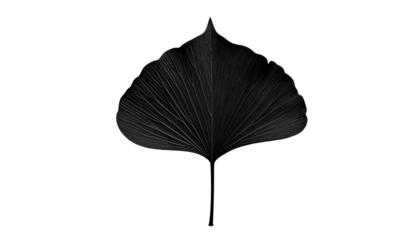 Dark, stylized leaf, centered in black. Radial veins and subtle light create depth