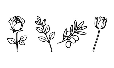 Hand drawn Simple Line Art Botanical Illustrations Collection