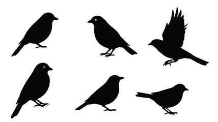 Fototapeta premium A collection of black bird silhouettes in various flight and perch poses