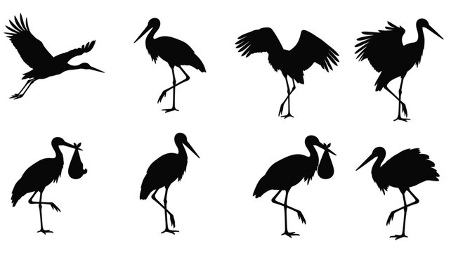 A collection of stork illustrations in various poses a striking silhouette