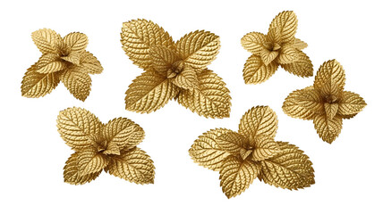 Glistening gold mint leaves scattered elegantly, creating an opulent design on a transparent background