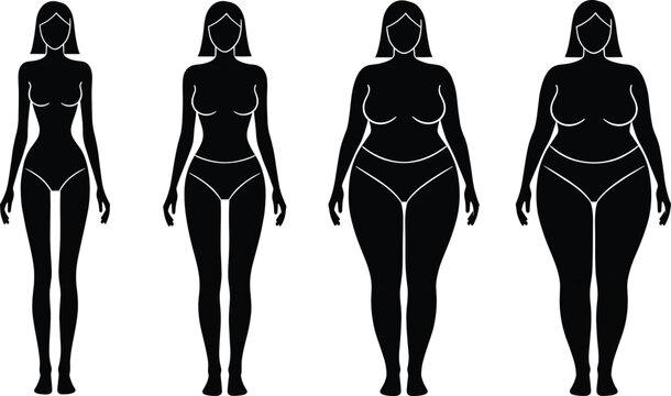 Female Body Type Silhouette Comparison Chart Showing Slim Average Curvy and Plus Size Figures Vector.