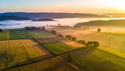 Aerial view of expansive fields at sunrise, bathed in golden light and misty atmosphere