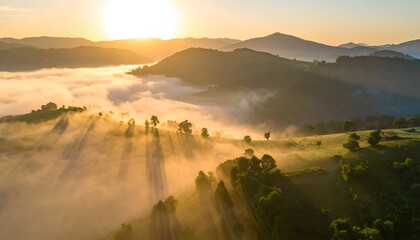 A breathtaking sunrise illuminating fog-covered hills, casting long shadows over lush greenery
