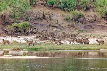  Ellipsen-Wasserb&ouml;cke