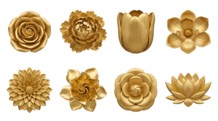 Gold flower set including rose, peony, tulip, magnolia, dahlia, lily, and lotus blossoms isolated. Luxury floral jewelry and decorative ornament collection.