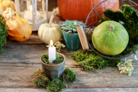 Classic autumn decorations with pumpkins, candles and moss on wooden table.
