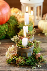 Classic autumn decorations with pumpkins, candles and moss on wooden table.