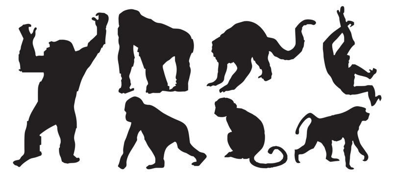 monkey silhouette vector