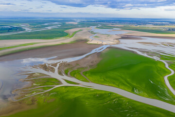 Poyang Lake wetland, dried river, green grassland texture, aerial view