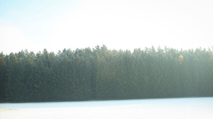 Beautiful nature pictures in winter, trees and leaves under the snow, snowfall, snow in the field