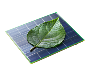 A solar panel with a green leaf resting on it, symbolizing the connection between nature and renewable energy.