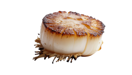 A beautifully charred scallion, showcasing its caramelized edges and delicate layers, highlighting its culinary appeal.