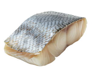 The image shows a piece of fish skin with a shiny, textured surface, highlighting its scales and smooth underbelly.