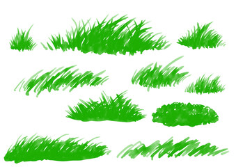 Vibrant green leaves, grass, and lawn hand-drawn illustration. Minimalist botanical art.　鮮やかな緑の葉と草と芝生の手書きイラスト