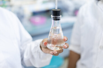 Testing plant nutrition and plant photosynthesis in a biology laboratory.