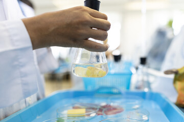 Testing plant nutrition and plant photosynthesis in a biology laboratory.