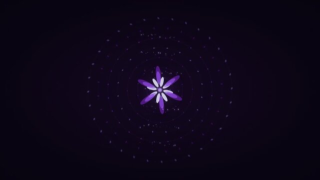 Royal Purple Chakra Sacred Mandala Divine Geometry Lotus Flower Spiritual Animation Background