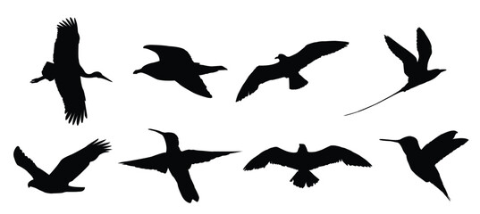 Obraz premium bird silhouette set bird vector silhouette