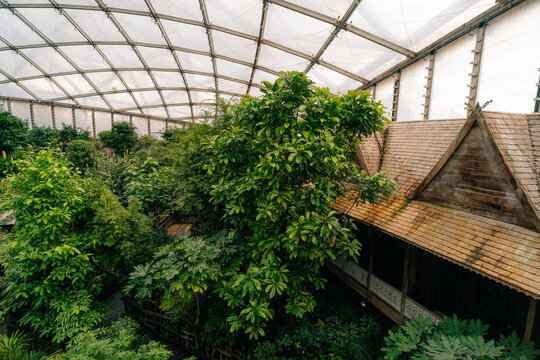Leipzig, Germany - Dec 2 2025 Leipzig Zoo Tropical Rainforest inside Gondwanaland greenhouse