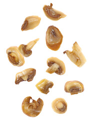 a scattered arrangement of glossy, cooked abalone pieces, captured in a detailed studio photograph with a white background for culinary use.