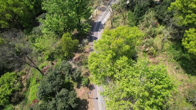 Aerial view of a winding dirt path meandering through lush green forest canopy