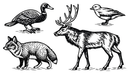 Wild Forest Animals Vintage Engraving Line Art Illustration Set