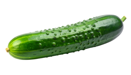 A whole, fresh, green cucumber with bumpy skin and a small stem, isolated on black