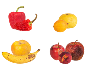 collection of slightly overripe and imperfect fruits: red bell pepper, chili pepper, lemons, banana, apple, and peach on transparent background.