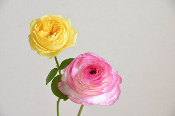 Fototapeta premium 薔薇とラナンキュラス