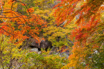 日本の風景・秋　山梨県甲府市　紅葉の昇仙峡  © Yuta1127
