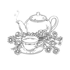 Chamomile Tea in Teapot aroma beverage Outline Illustration. Vector isolated for Design and Decoration for Cafeteria, Posters, Banners, Cards.