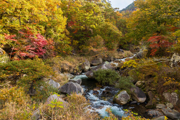 日本の風景・秋　山梨県甲府市　紅葉の昇仙峡  © Yuta1127