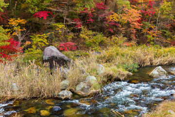 日本の風景・秋　山梨県甲府市　紅葉の昇仙峡  © Yuta1127