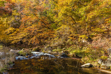 日本の風景・秋　山梨県甲府市　紅葉の昇仙峡  © Yuta1127