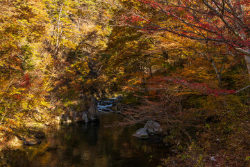 日本の風景・秋　山梨県甲府市　紅葉の昇仙峡  © Yuta1127