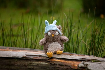 kleine Pl&uuml;scheule 