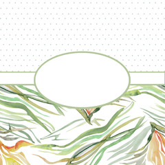 herb floral background with abstract color grass  common, place for text