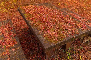日本の風景・秋　山梨県甲府市　紅葉の昇仙峡　天鼓林  © Yuta1127