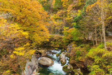 日本の風景・秋　山梨県甲府市　紅葉の昇仙峡  © Yuta1127