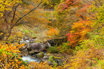 日本の風景・秋　山梨県甲府市　紅葉の昇仙峡  © Yuta1127
