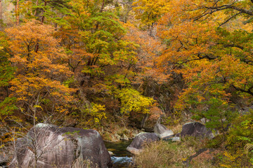 日本の風景・秋　山梨県甲府市　紅葉の昇仙峡  © Yuta1127