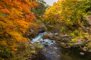 日本の風景・秋　山梨県甲府市　紅葉の昇仙峡  © Yuta1127