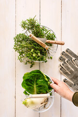 Frisches gr&uuml;nes Gem&uuml;se und Kr&auml;uter in K&ouml;rben auf einem wei&szlig;en Holz Tisch. Draufsicht, weibliche Hand, g&auml;rtnern.