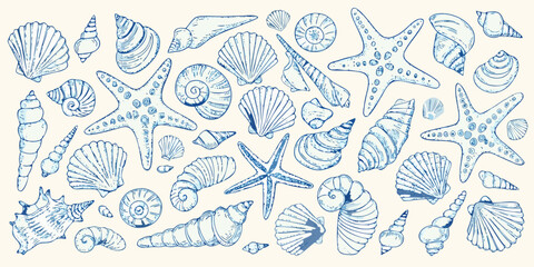 A collection of blue sketched seashells and starfish on a white background © Rathin