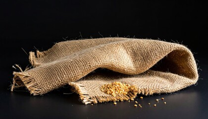 Isolated closeup of a natural burlap sack of organic wheat and a brown jute bag of raw coffee beans on a white background as healthy dry food grain ingredients