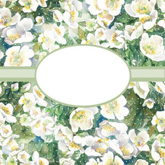 floral background with white jasemin flowers and place for your text, photo frame, marry me, parfume cover