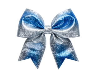 A large, glittery silver and blue bow against a black background