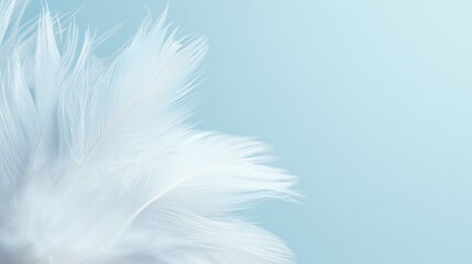 Obraz premium White Feather Pattern With Large Copy Space – Soft Abstract Background for Branding and Wellness Design