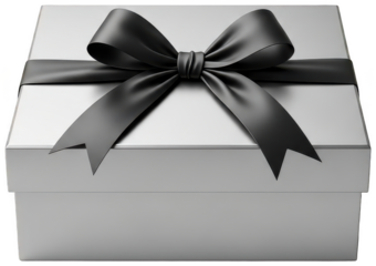 Minimalist silver gift box topped with dramatic matte black ribbon and large luxurious bow